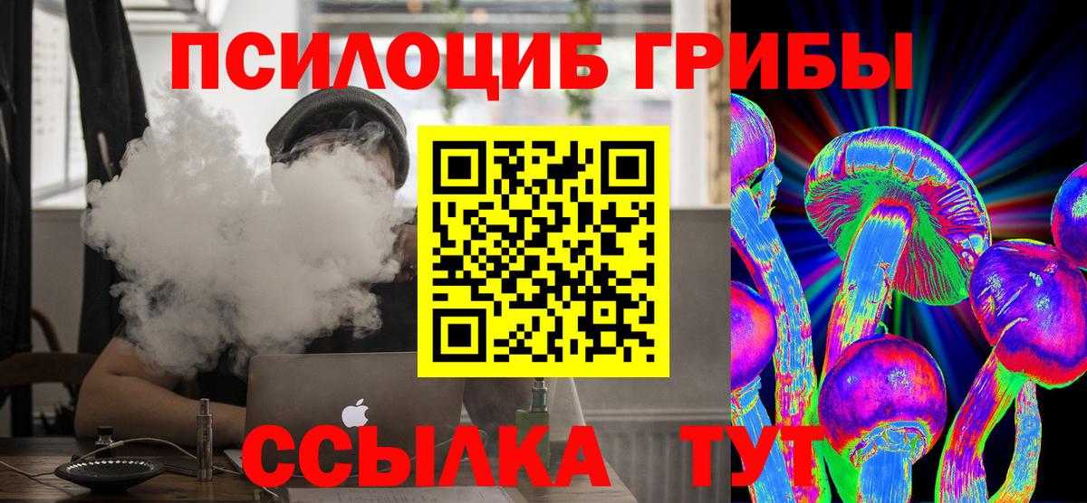 купить наркотики цена  Вход с VPN  Мичуринск  Галлюциногенные грибы Magic Shrooms 